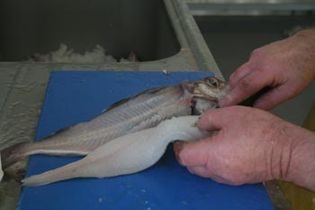 Fish being prepared